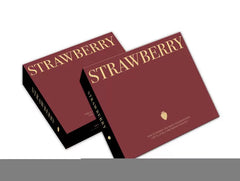 批发草莓包装 酒红色 丹东九九高档草莓礼盒 厂家直销 量大从优
